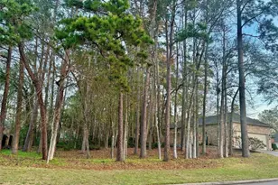 901 Longmire Rd, Conroe, TX 77304 - Photo 42