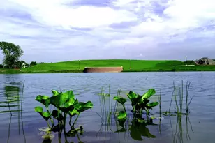 2730 Cottage Pl, Missouri City, TX 77459 - Photo 8