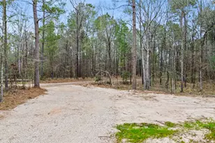 180 Jordan Rd, Point Blank, TX 77364 - Photo 30