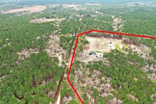 180 Jordan Rd, Point Blank, TX 77364 - Photo 38