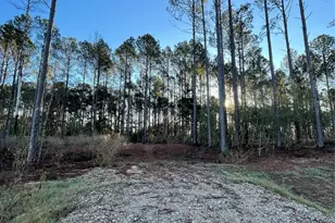 11356 Annie Creek Dr, Willis, TX 77378 - Photo 2