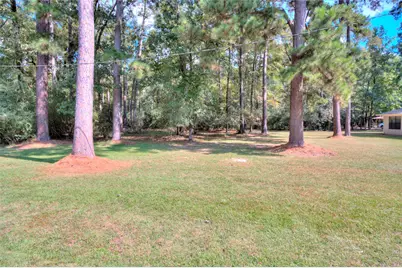 0 Cottonwood, Trinity, TX 75862 - Photo 6