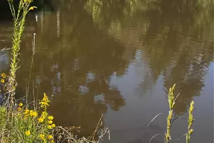 401 Crystal Creek Dr, Livingston, TX 77351 - Photo 30