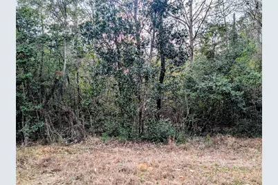0 Road 2723, Cleveland, TX 77327 - Photo 6