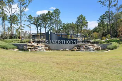 946 Sutherland Falls Street, Conroe, TX 77303 - Photo 22