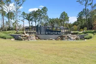 946 Sutherland Fls St, Conroe, TX 77303 - Photo 22