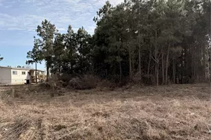 10024 Rd 5868, Dayton, TX 77535 - Photo 1