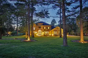 28733 Lakeside Green, Magnolia, TX 77355 - Photo 2