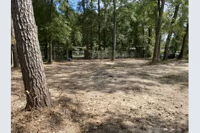 19626 Forest Drive, New Caney, TX 77357 - Photo 4