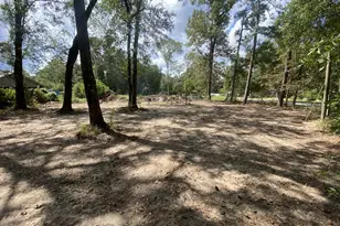 19626 Forest Dr, New Caney, TX 77357 - Photo 1