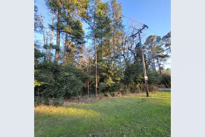 000 Baneberry Road, Magnolia, TX 77355 - Photo 10