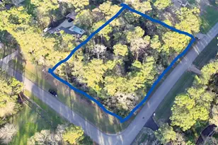 000 Baneberry Rd, Magnolia, TX 77355 - Photo 1