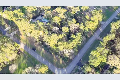 000 Baneberry Road, Magnolia, TX 77355 - Photo 2