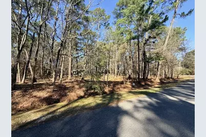 220 Altwood Drive, Coldspring, TX 77331 - Photo 2