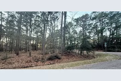 220 Altwood Drive, Coldspring, TX 77331 - Photo 4