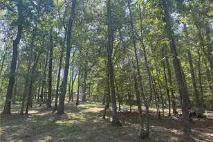 777 S Cape Royale Dr, Coldspring, TX 77331 - Photo 38