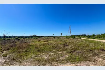 T-1 Fm 355 Eliot, Groveton, TX 75845 - Photo 4