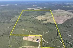 T-1 Fm 355 Eliot, Groveton, TX 75845 - Photo 1