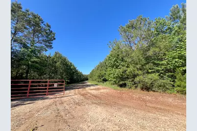 T-1 Fm 355 Eliot, Groveton, TX 75845 - Photo 8