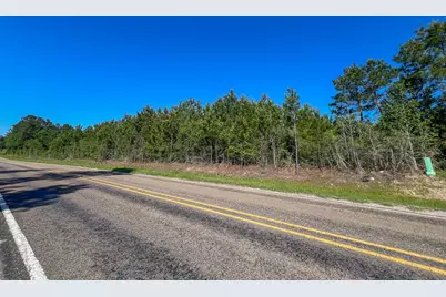 T-1 Fm 355 Eliot, Groveton, TX 75845 - Photo 12