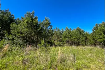 T-1 Fm 355 Eliot, Groveton, TX 75845 - Photo 6