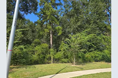 9511 Aliaga Terrace Court, Tomball, TX 77375 - Photo 28