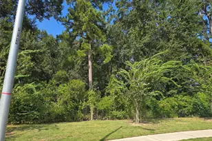 9511 Aliaga Ter Ct, Tomball, TX 77375 - Photo 28