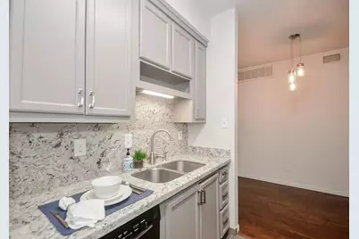 7950 N Stadium Drive #247, Houston, TX 77030 - Photo 4