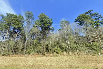 15-34-38 Alamo Drive, Huntsville, TX 77380 - Photo 6