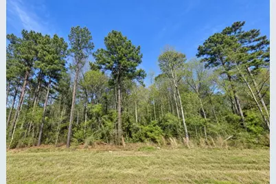15-34-38 Alamo Drive, Huntsville, TX 77380 - Photo 2