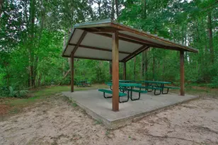 31026 Fairfield Maple Trl, Spring, TX 77386 - Photo 50