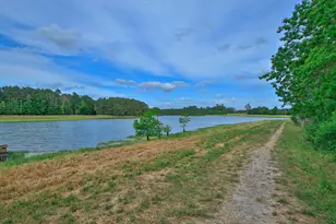 31026 Fairfield Maple Trl, Spring, TX 77386 - Photo 48