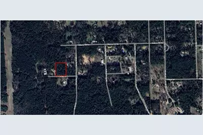4807 Cathey Lane, Navasota, TX 77868 - Photo 6