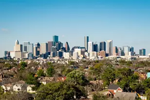 2904 Ruth St, Houston, TX 77004 - Photo 34