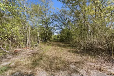 Tbd County Rd 204, Plantersville, TX 77363 - Photo 2