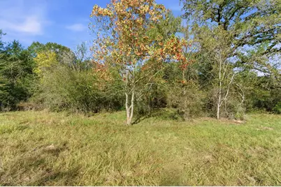 Tbd County Rd 204, Plantersville, TX 77363 - Photo 8