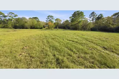 Tbd County Rd 204, Plantersville, TX 77363 - Photo 6
