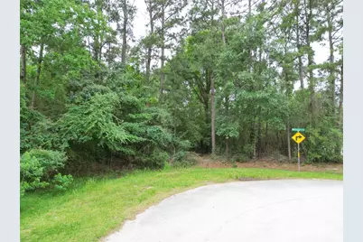 Lot 18 and 19 Block 9 Westwood 4, Magnolia, TX 77354 - Photo 4
