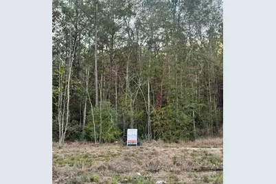 1735 Road 66118, Dayton, TX 77535 - Photo 6