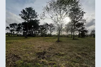 9715 County Road 171, Liverpool, TX 77577 - Photo 6