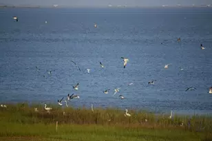 26570 Baywater Dr, Galveston, TX 77554 - Photo 32
