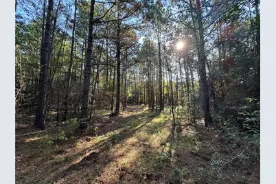 1-1-51 Saddle Ridge Drive, Huntsville, TX 77340 - Photo 6