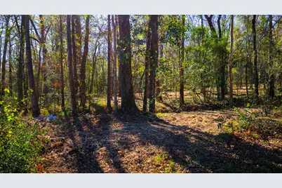 0 Live Oak Lane, Coldspring, TX 77331 - Photo 10