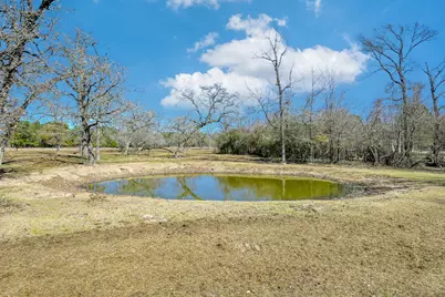 26050 Forest Hills Lane, Waller, TX 77484 - Photo 6