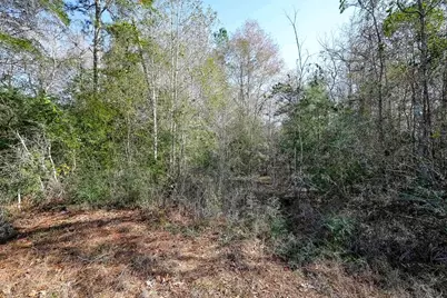 378 County Road 381, Cleveland, TX 77328 - Photo 14