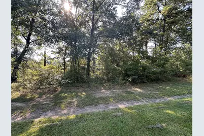 Tbd Monte Carlo Road, Point Blank, TX 77364 - Photo 2
