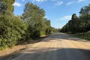 15530 Tierra Grande Dr, Needville, TX 77461 - Photo 6