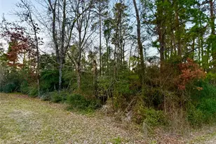 Tbd Tallow St, Onalaska, TX 77360 - Photo 1