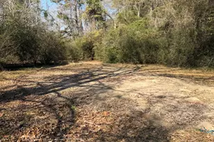 110 Happy Trail, Coldspring, TX 77331 - Photo 50