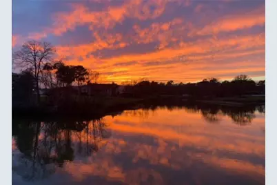 187 N Forest Drive, Huntsville, TX 77340 - Photo 8